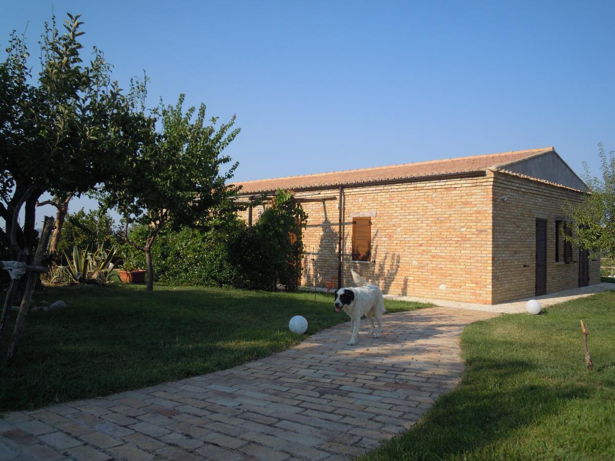 Agriturismo Piccolo Albero Лорето-Апрутино Экстерьер фото
